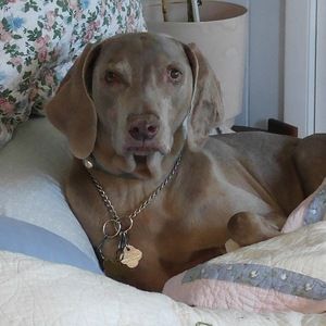 Meet your Posher, Christine